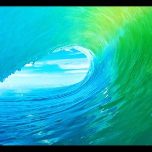 Meet your Posher, Jayden